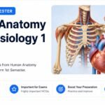 B. Pharm 1st Semester Human Anatomy and Physiology 1 MCQs